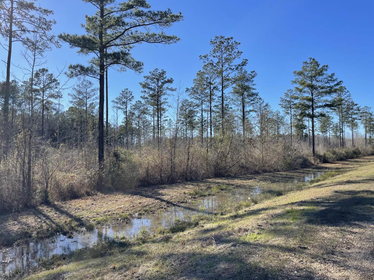 https://bt-photos.global.ssl.fastly.net/hattiesburg/1280_boomver_1_144577-2.jpg