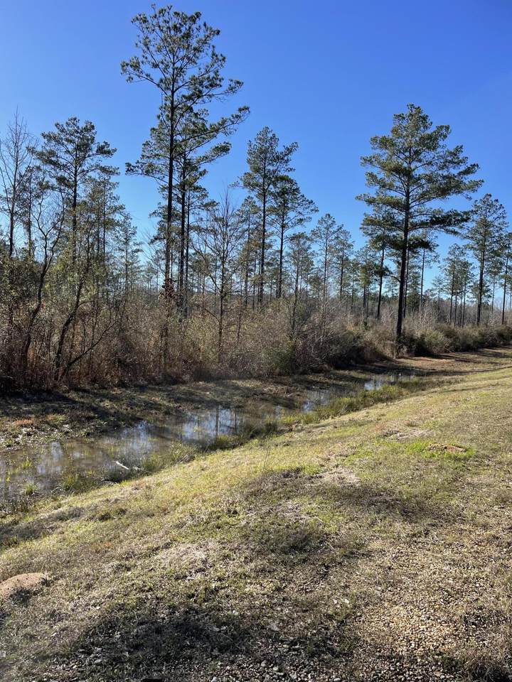 https://bt-photos.global.ssl.fastly.net/hattiesburg/1280_boomver_1_144579-2.jpg