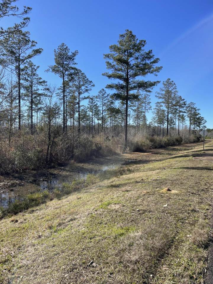 https://bt-photos.global.ssl.fastly.net/hattiesburg/1280_boomver_1_144579-2.jpg