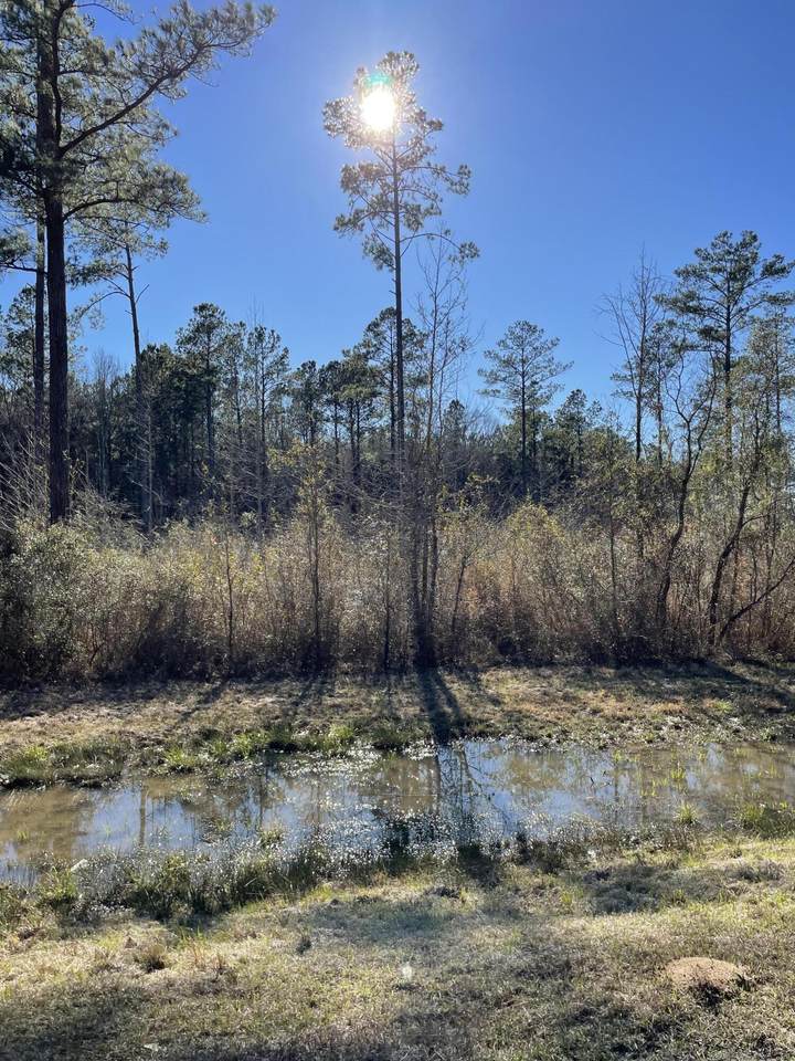 https://bt-photos.global.ssl.fastly.net/hattiesburg/1280_boomver_1_144583-2.jpg