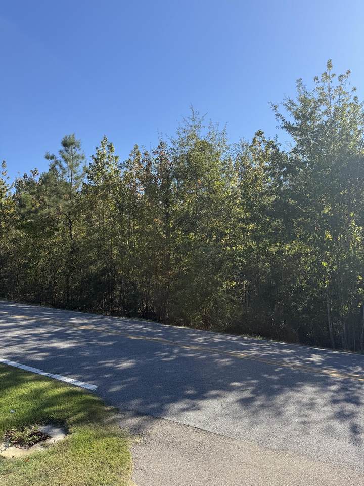 Lot 26 King Rd. - Photo 1