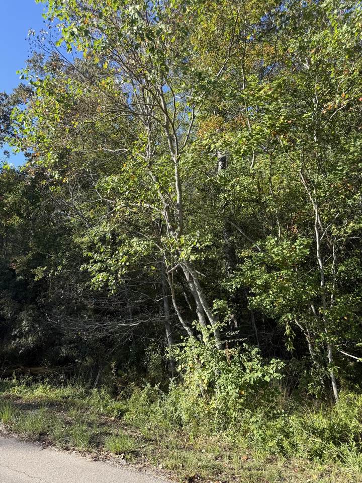 Lot 37 Forrest Hills Dr. - Photo 1