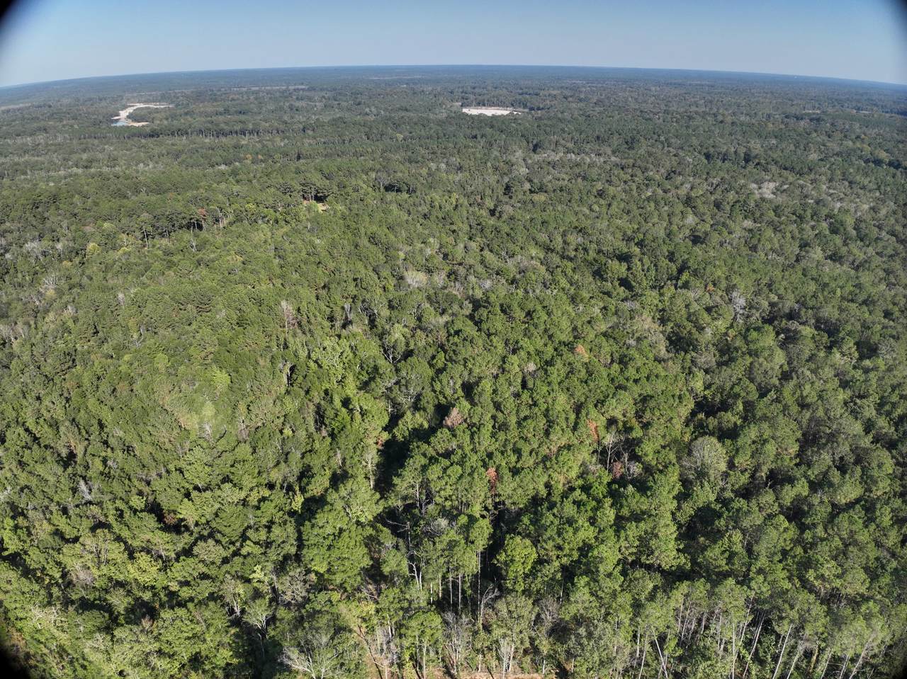 https://bt-photos.global.ssl.fastly.net/hattiesburg/1280_boomver_1_144621-2.jpg