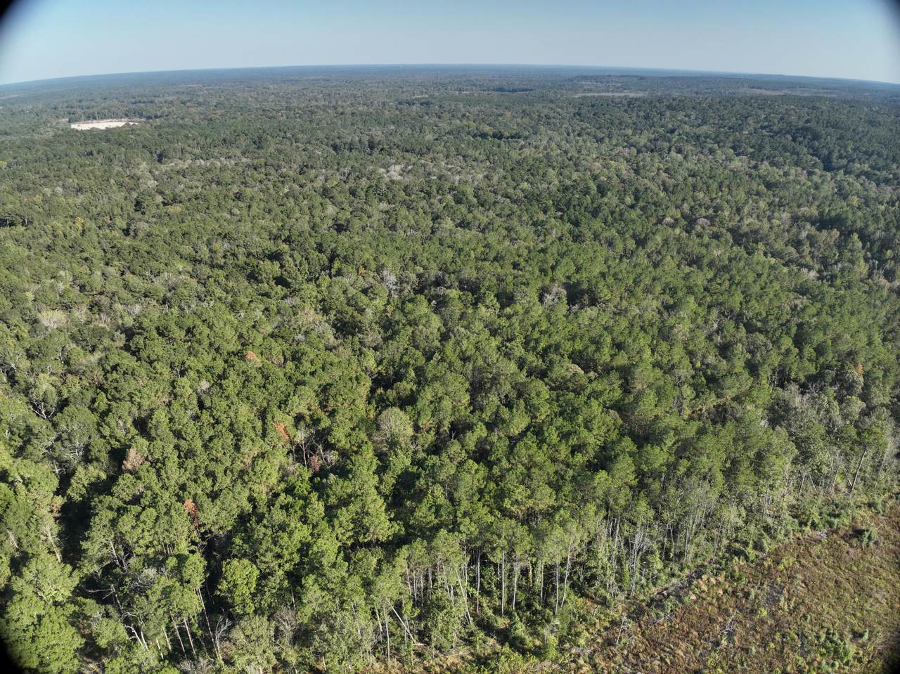 https://bt-photos.global.ssl.fastly.net/hattiesburg/1280_boomver_1_144621-2.jpg