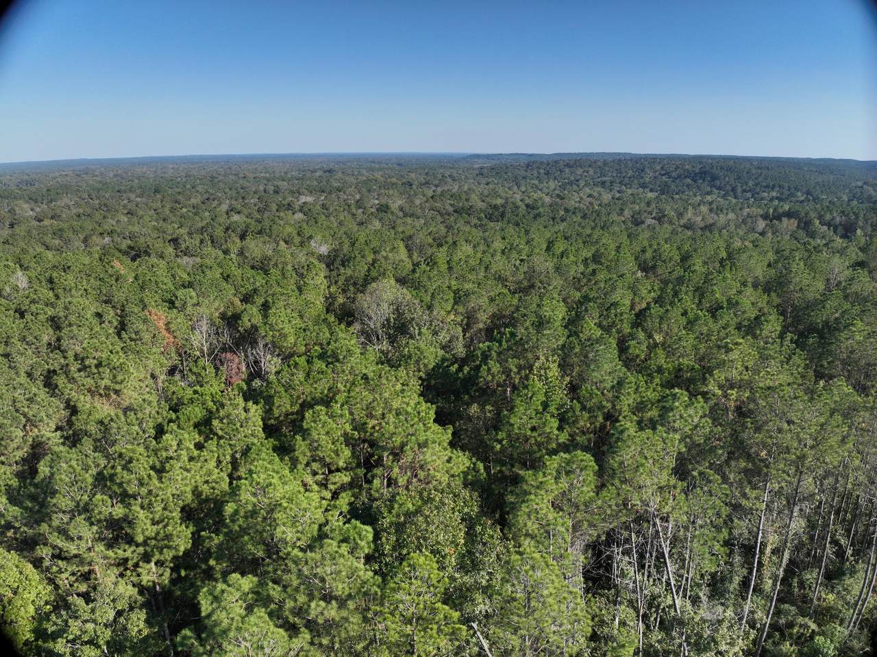 https://bt-photos.global.ssl.fastly.net/hattiesburg/1280_boomver_1_144621-2.jpg