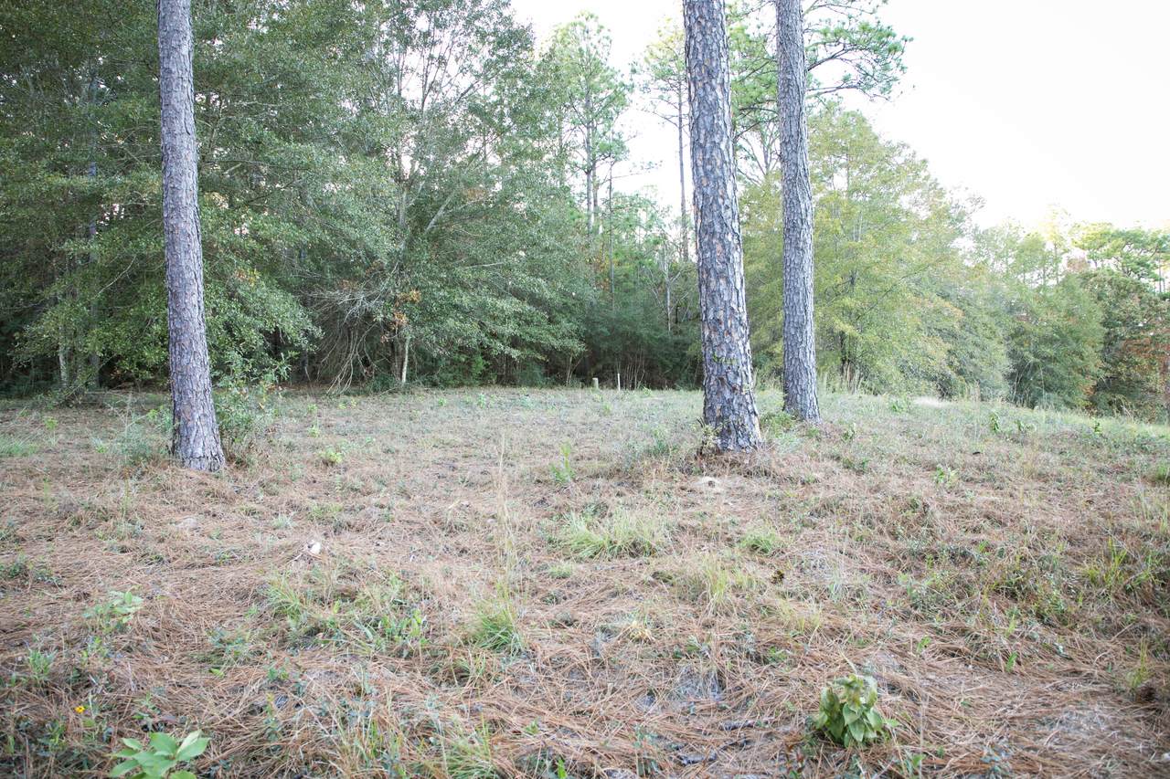 https://bt-photos.global.ssl.fastly.net/hattiesburg/orig_boomver_1_144774-2.jpg