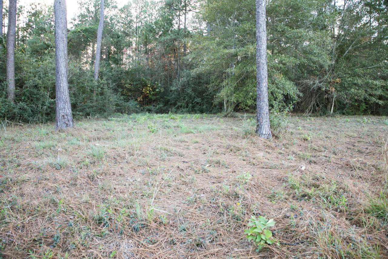 https://bt-photos.global.ssl.fastly.net/hattiesburg/orig_boomver_1_144774-2.jpg