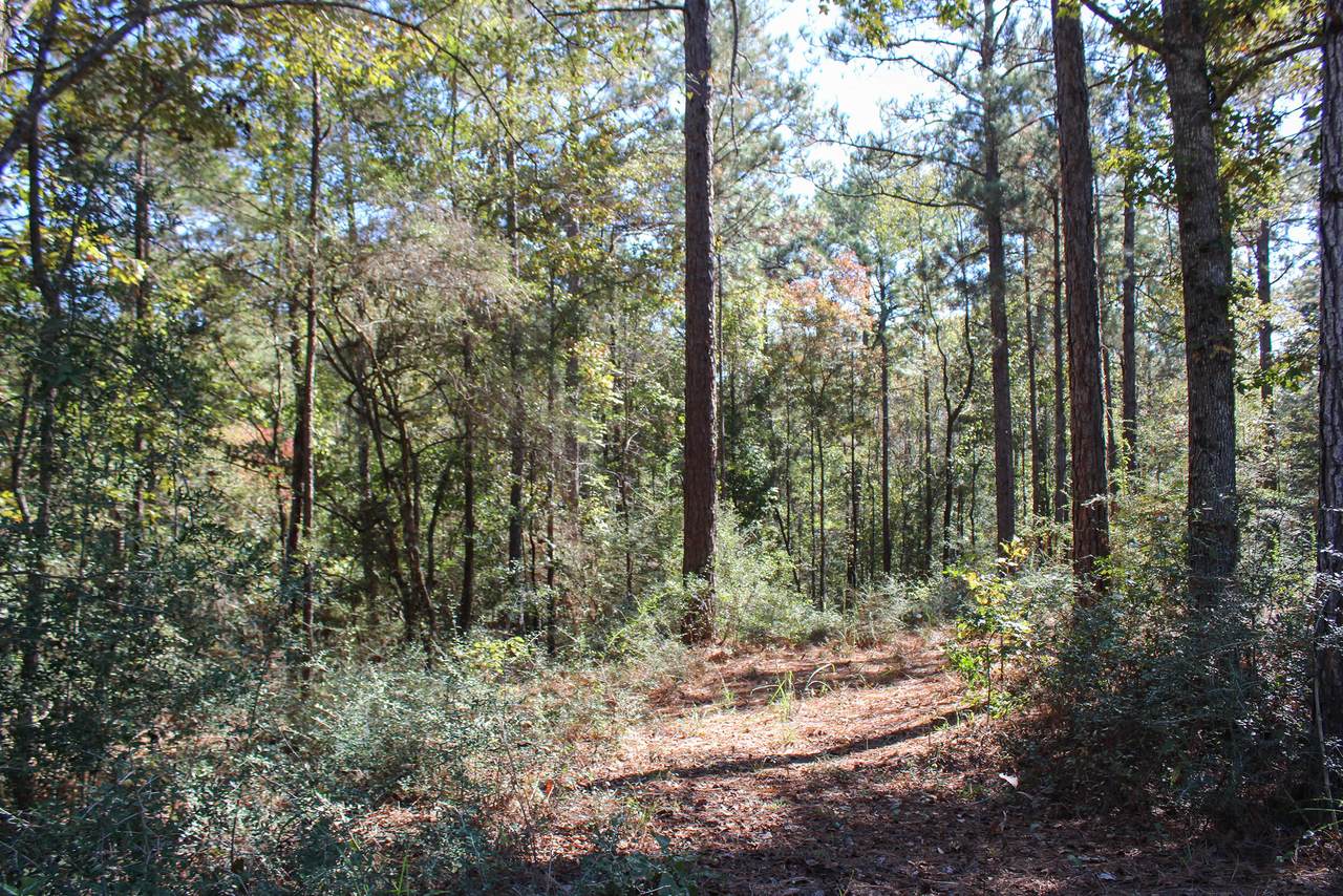 https://bt-photos.global.ssl.fastly.net/hattiesburg/1280_boomver_1_144791-2.jpg