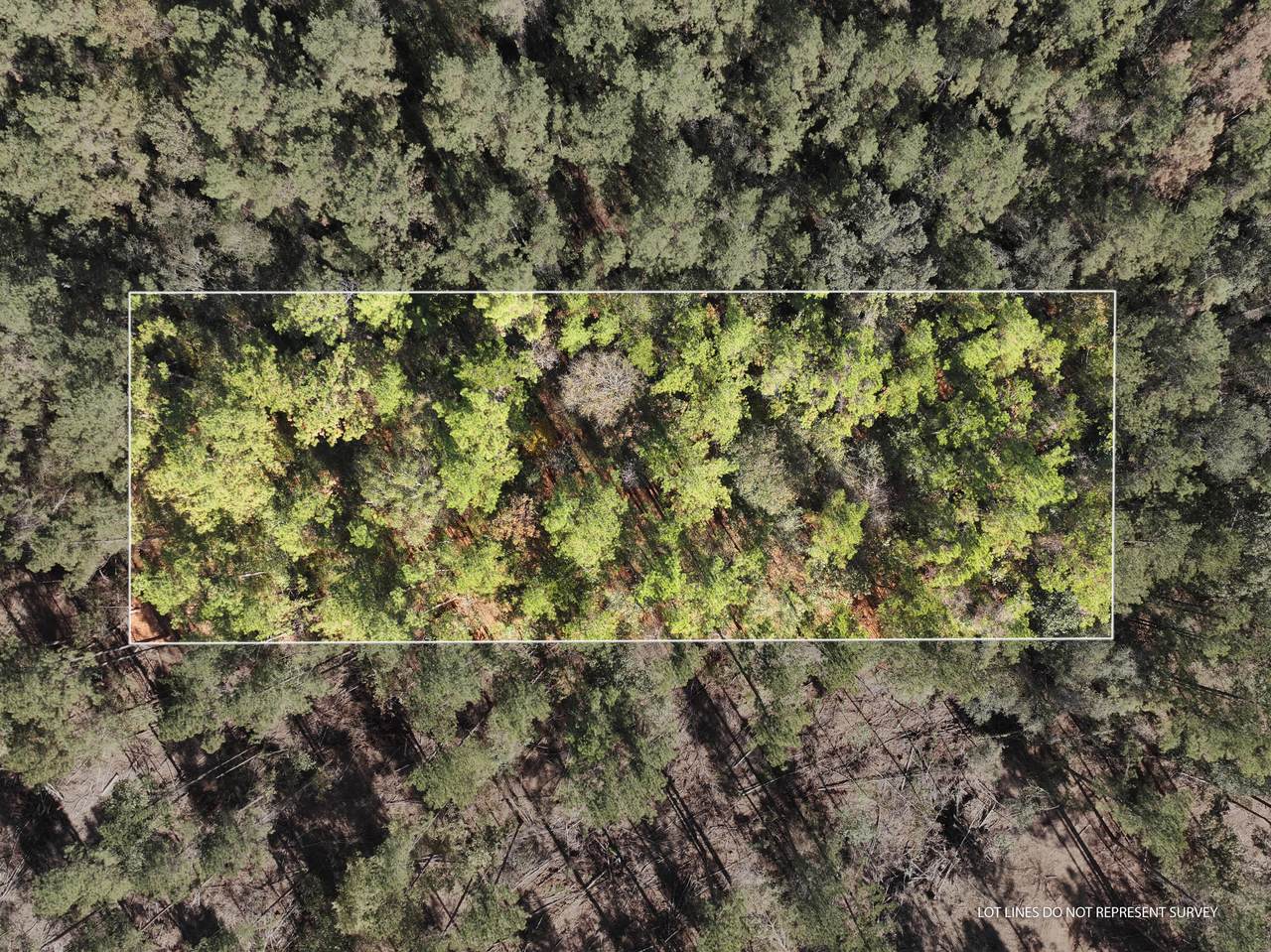18 Mol Ac Old Hwy 24 Parcel 20 - Photo 1