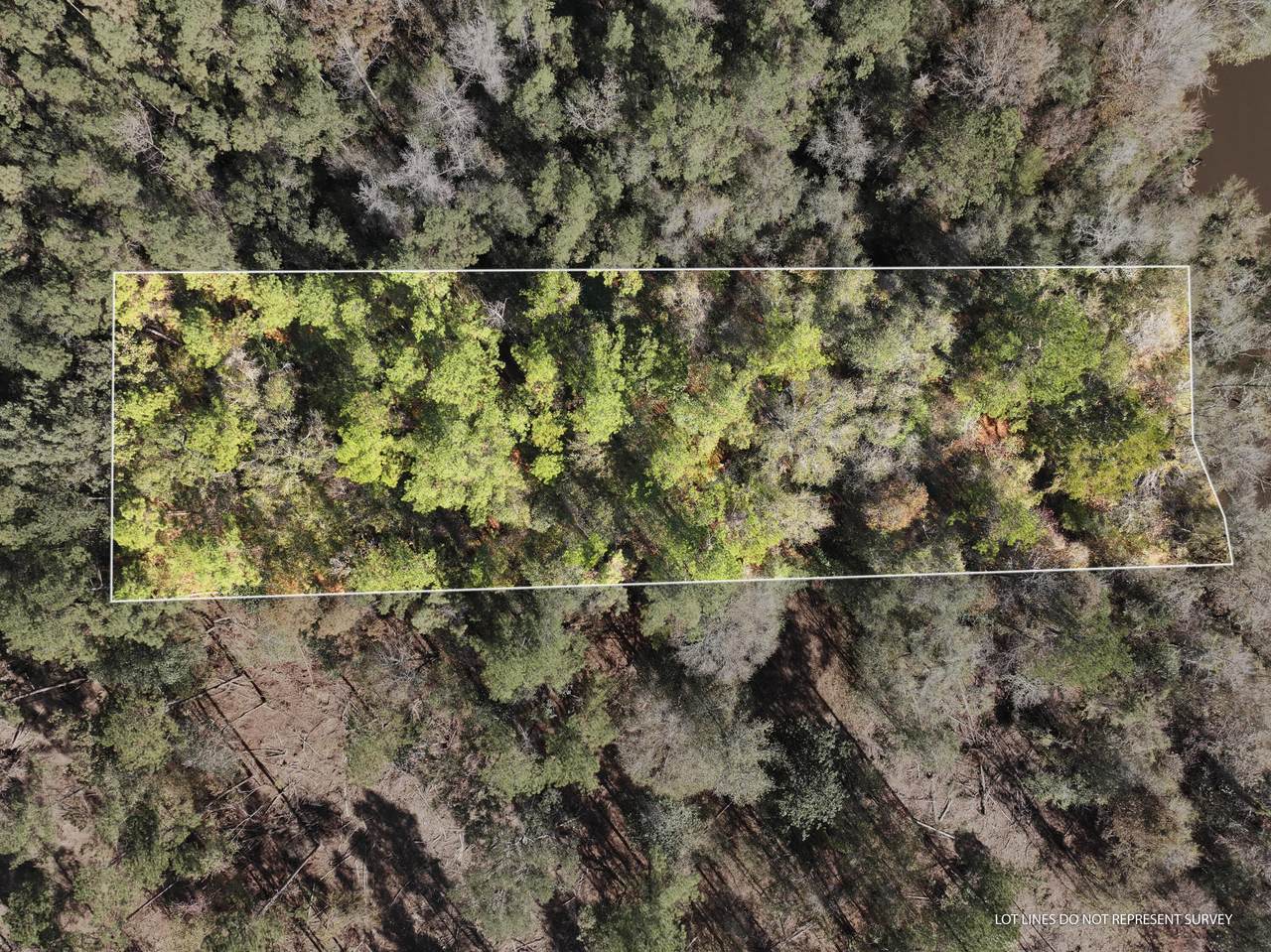 1.12 Mol Ac Old Hwy 24 Parcel 21 - Photo 1