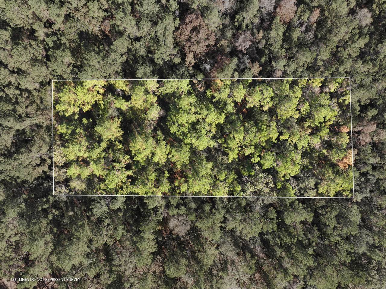 18 Mol Ac Old Hwy 24 Parcel 23 - Photo 1