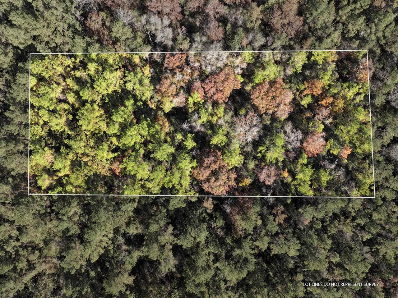 18 Mol Ac Old Hwy 24 Parcel 24 - Photo 1