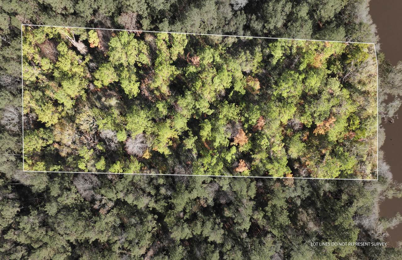 18 Mol Ac Old Hwy 24 Parcel 26 - Photo 1