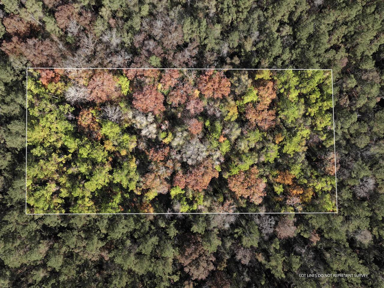 18 Mol Ac Old Hwy 24 Parcel 27 - Photo 1