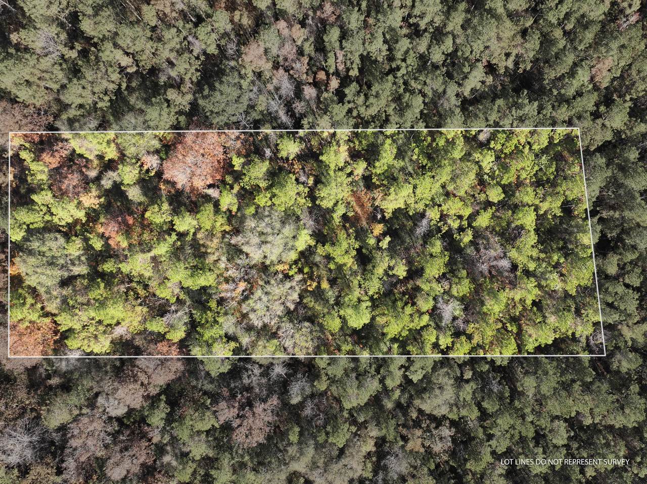 18 Mol Ac Old Hwy 24 Parcel 31 - Photo 1