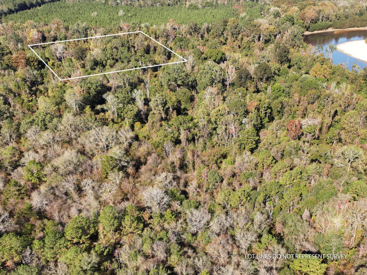 1.12 Mol Ac Old Hwy 24 Parcel 39 - Photo 1