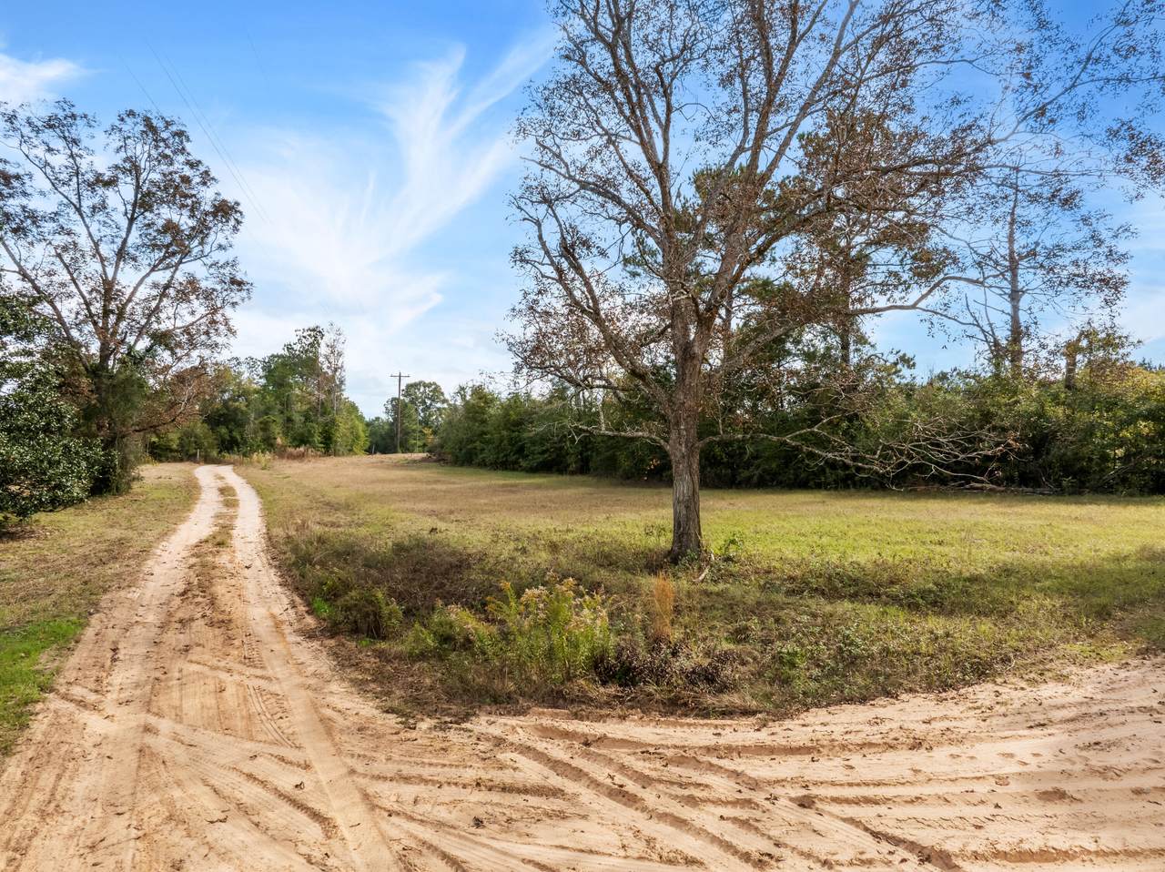 https://bt-photos.global.ssl.fastly.net/hattiesburg/1280_boomver_1_144910-2.jpg
