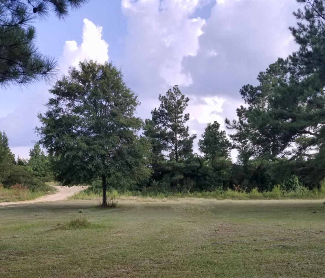 221 Rankin Rd. - Photo 1