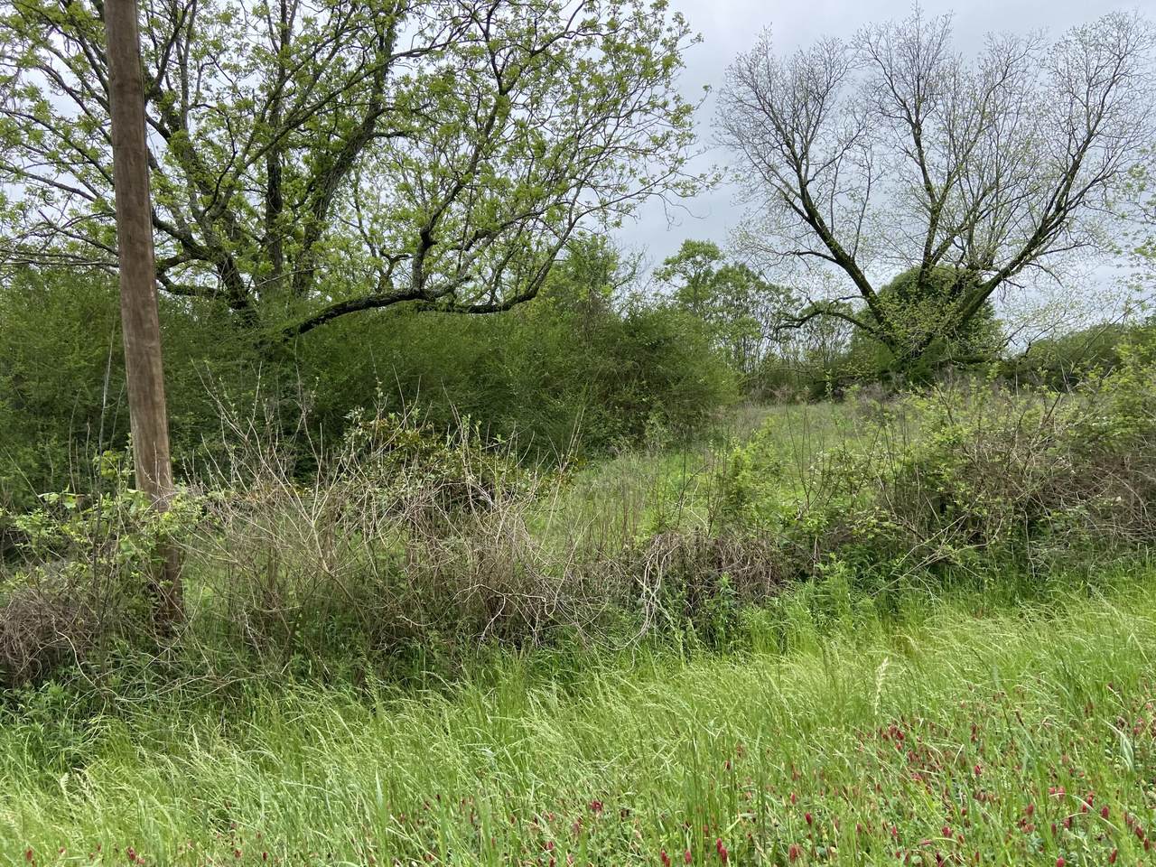 000 Hwy 590 - Photo 1