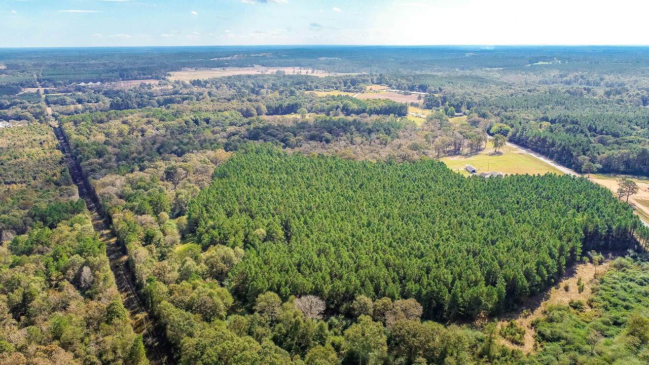 37 Acres Ms-28 - Photo 1