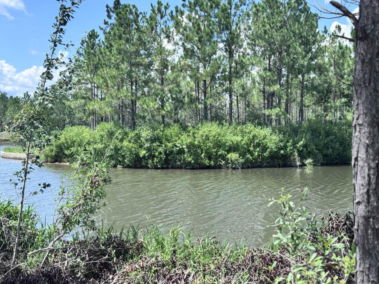 8 Paddle Point - Photo 1