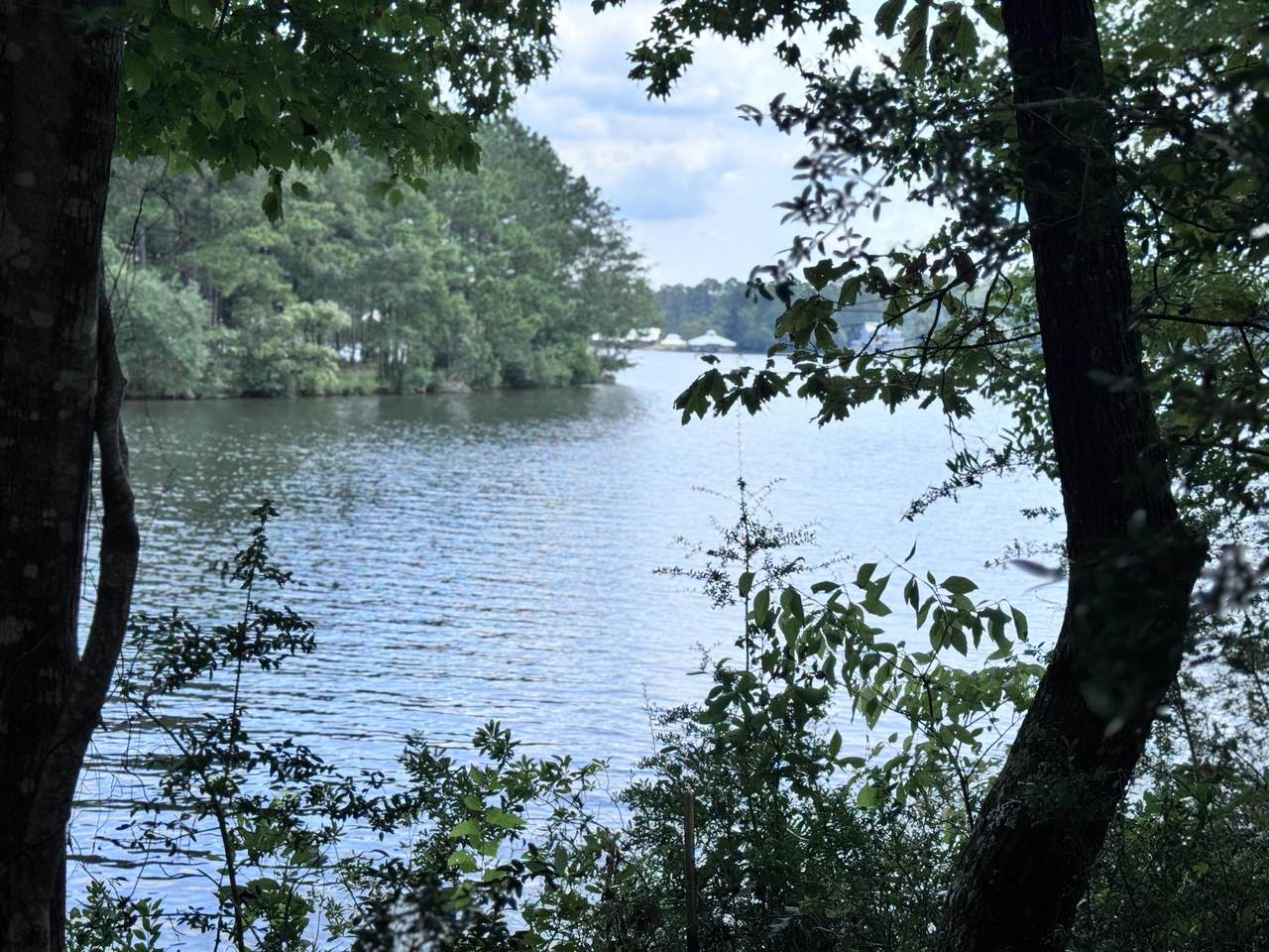 64 Annes's Circle (Lot 52) - Photo 1