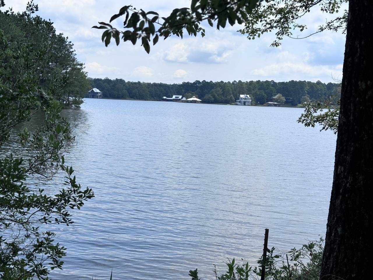 60 Anne's Circle  (Lot 51) - Photo 1