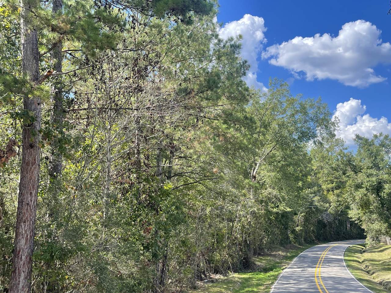 https://bt-photos.global.ssl.fastly.net/hattiesburg/1280_boomver_2_144324-2.jpg