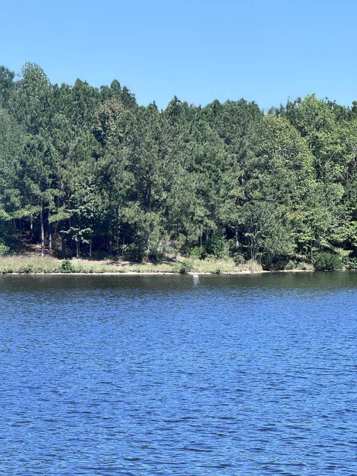 https://bt-photos.global.ssl.fastly.net/hattiesburg/1280_boomver_2_144513-2.jpg