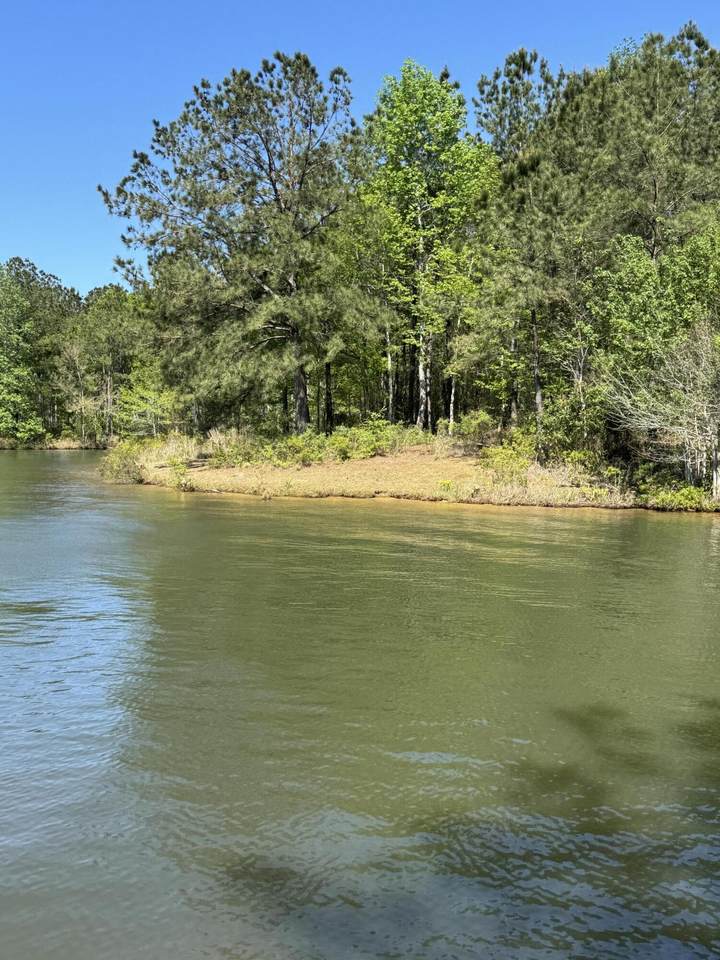 https://bt-photos.global.ssl.fastly.net/hattiesburg/1280_boomver_2_144513-2.jpg