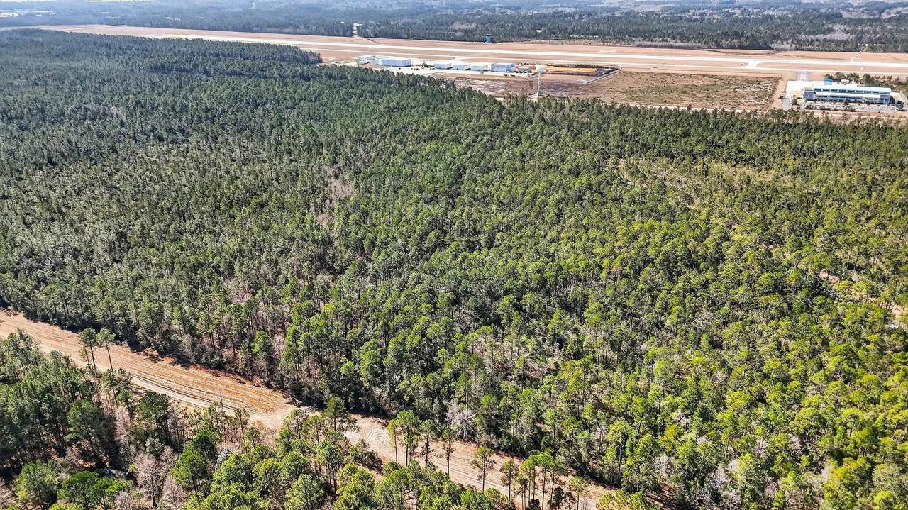 000 Saracennia Point - Photo 1