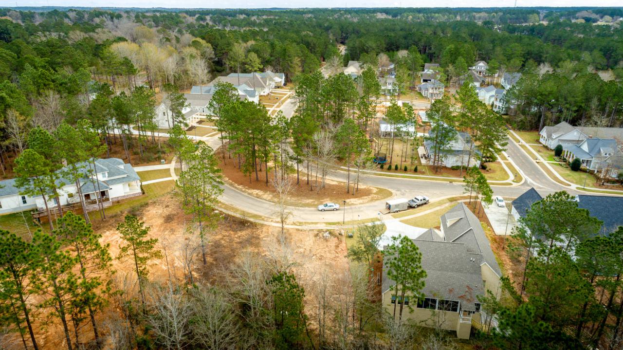 98 Baneberry Trace - Photo 1