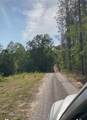302 Acre Old Hwy 49 - Photo 11