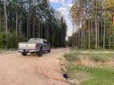 302 Acre Old Hwy 49 - Photo 9