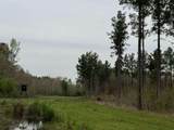 0 Ms-15 - Photo 10