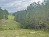 0 Co Rd 1725 - Photo 1