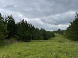 0 Co Rd 1725 - Photo 2