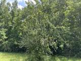 0 Buck Creek Rd. - Photo 8