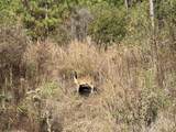 00 Stanford Lake Rd. - Photo 1