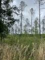 Lot J Easement Off Of River Bend Rd - Photo 3