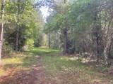 TBD Clem Rd. - Photo 13