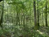 TBD Clem Rd. - Photo 24