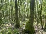 TBD Clem Rd. - Photo 28