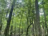 TBD Clem Rd. - Photo 38