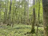 TBD Clem Rd. - Photo 42