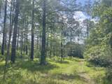 TBD Clem Rd. - Photo 5