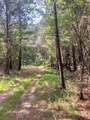 TBD Clem Rd. - Photo 6