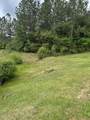 40 Jitterbug Bend - Photo 5