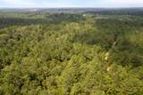 18 Acres Peps Point Rd - Photo 10