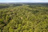 18 Acres Peps Point Rd - Photo 11